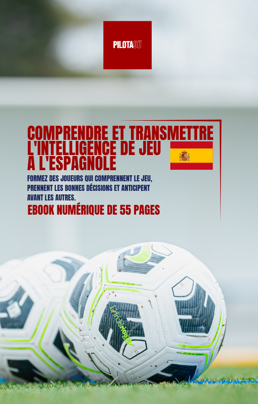 PILOTA90 – Les bases du jeu intelligent (Ebook PDF)